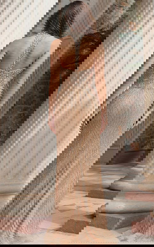 Back view of fitted beaded gown with illusion panel and central strap detail